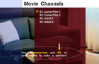 WebH TV - Movie Channels